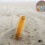 Mengenal Kerang Bambu: Si Kecil dengan Segudang Manfaat!