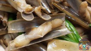 Mengenal Kerang Bambu: Si Kecil dengan Segudang Manfaat!