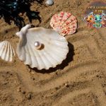 Kerang Mutiara Sumber Keindahan Menghiasi Dunia Perhiasan!