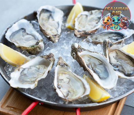 Kerang Oyster: Ciptakan Kelezatan Lautan dalam Setiap Suapan!