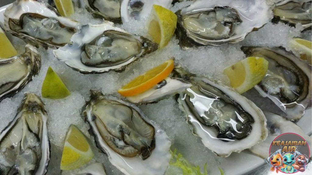 Kerang Oyster: Ciptakan Kelezatan Lautan dalam Setiap Suapan!