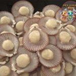 Bukan Sembarangan Kerang! Simping Punya Cita Rasa Tersendiri!