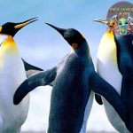Rahasia Penguin Jalan Goyang, Hidup Ekstrem di Dunia Beku!