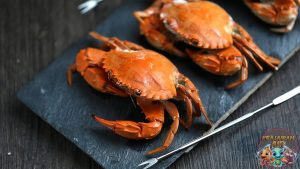 Kepiting Suji Sang Jawara Laut yang Bikin Kamu Terpesona!