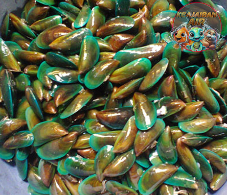 Bukan Sembarangan Moluska, Ini Fakta Unik Kerang Hijau!