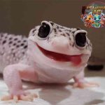 Leopard Gecko Reptil Unik dengan Pola 5 Kulit Menawan