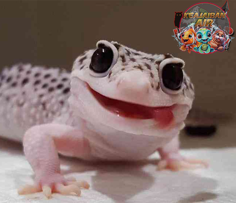 Leopard Gecko Reptil Unik dengan Pola 5 Kulit Menawan