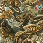 Reptil Lepidosauria dan 4 Fakta Penting untuk Dipahami!