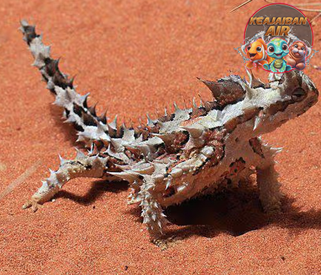 Rauisuchia Reptil Purba yang Menjadi Top 1 Predator