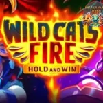 6 Kucing Liar Berapi di Slot Online Wild Cats Fire