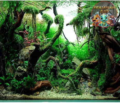 Jungle Style 5 Inspirasi Hiasan Air yang Memukau