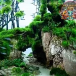 Biotope Menciptakan 3 Surga Alami di Rumah Anda