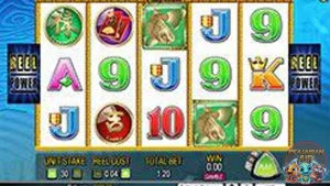 5 Koi Deluxe Lebih Seru dari Drama Korea!