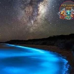 Milky Sea: Saksikan 5 Keindahan Lautan Menyala!