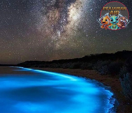 Milky Sea: Saksikan 5 Keindahan Lautan Menyala!