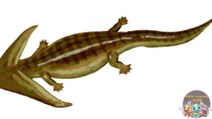 Diplocaulus Amfibi Purba dengan Kepala Aneh