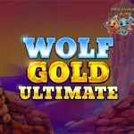 Wolf Gold Ultimate Gede Gak Terhalang Apapun
