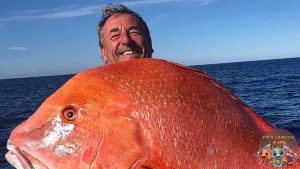 Ikan Kakap: Lebih dari Sekadar Ikan, Simbol Kekuatan!