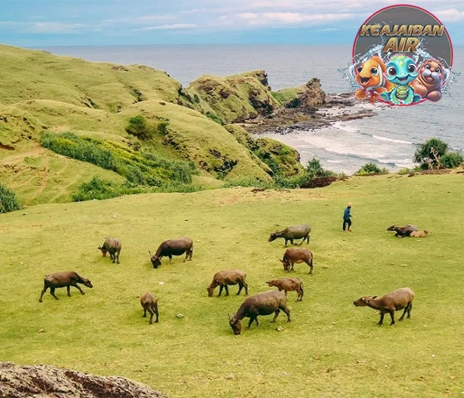 Lombok Menyingkap Wisata Alam Rahasia