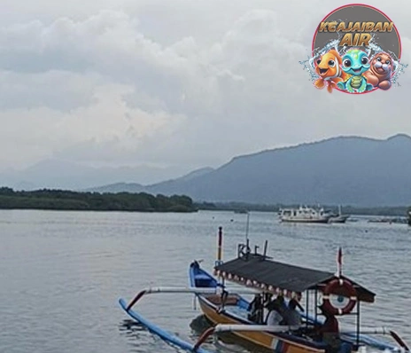 Teluk Gilimanuk Bali Dipadati Ribuan Turis